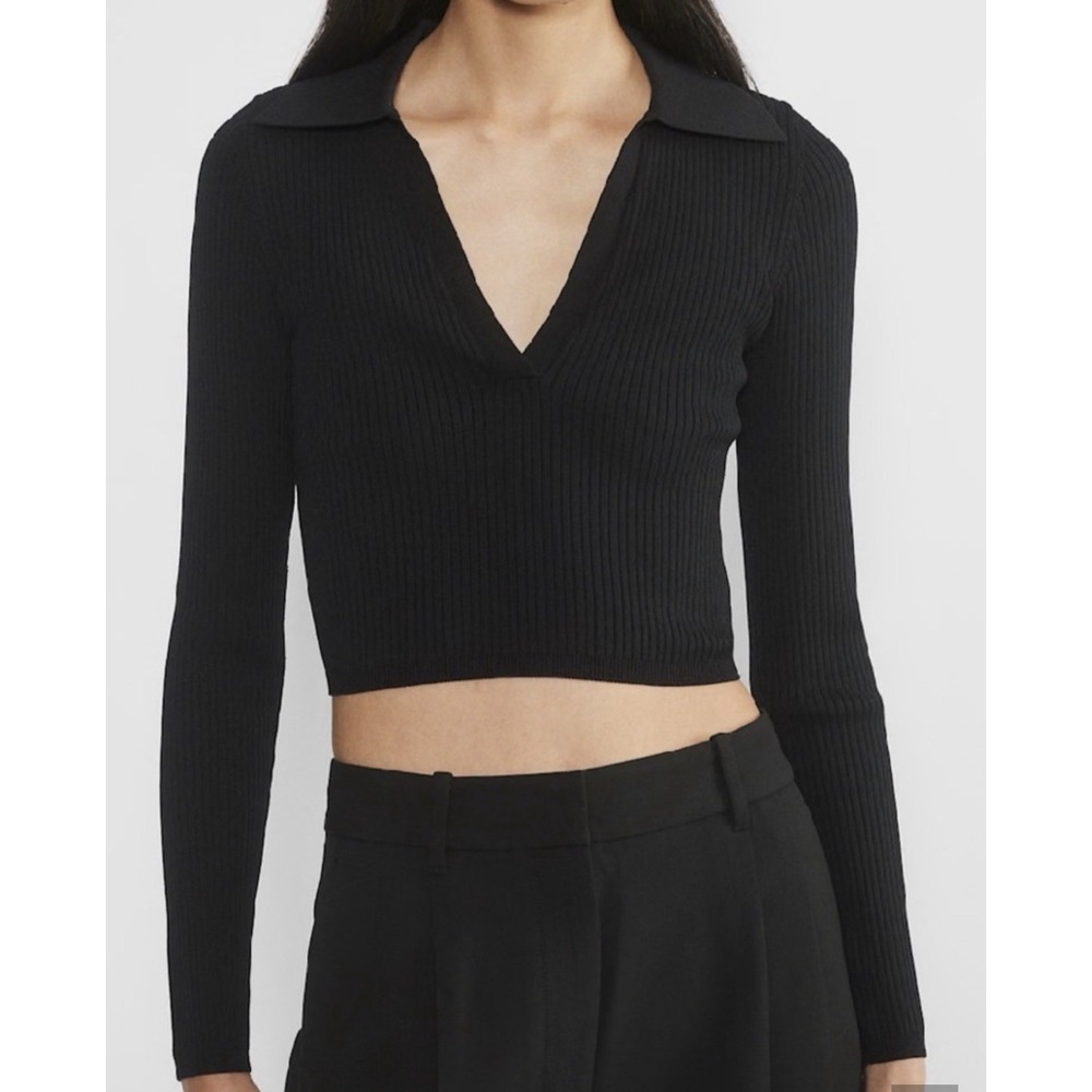 Babaton Aritzia Sculpt Knit XS Black Polo Long Sleeve Cropped Ribbed V Neck